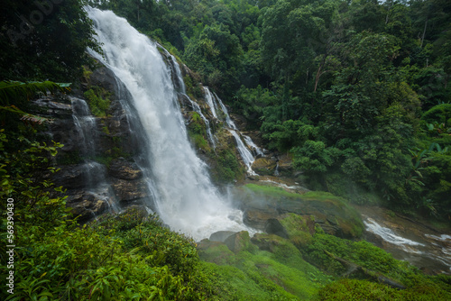 waterfall in the forest