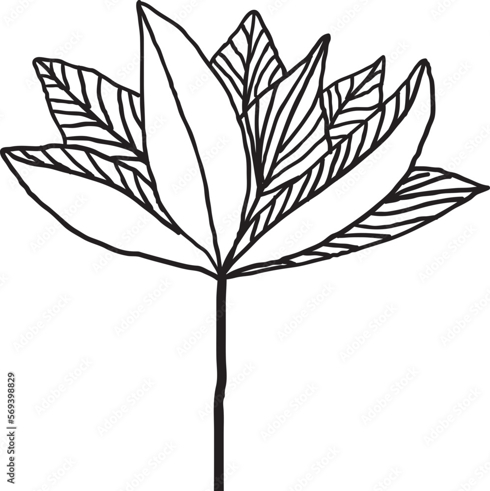 drawing,beauty,flower,pattern,orchid,lotus,tulip,peony,art,simple,painting,canvas,element,leaf,stamen,bloom,feminine,style,silk screen drawing,beauty,flower,pattern,orchid,lotus,tulip,peony,art,simple,painting,canvas,element,leaf,stamen,bloom,feminine,style,silk screen