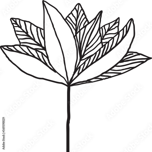 drawing,beauty,flower,pattern,orchid,lotus,tulip,peony,art,simple,painting,canvas,element,leaf,stamen,bloom,feminine,style,silk screen