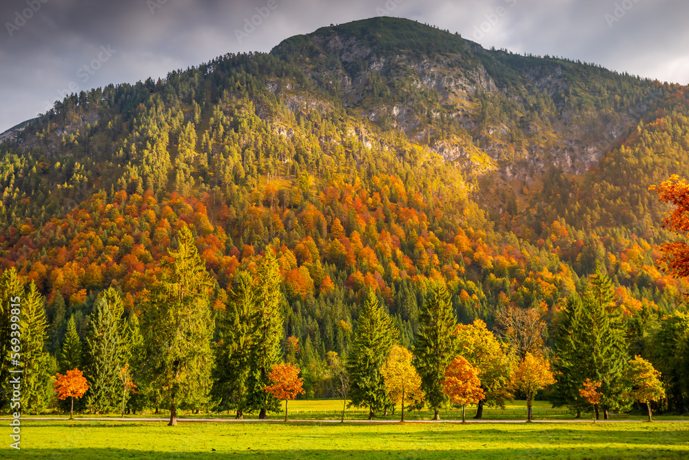 Fototapeta premium Karwendel alps at golden autumn sunrise, tyrol and bavarian alps border, Austria