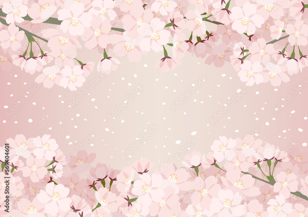 Fototapeta premium 桜のイラストフレーム