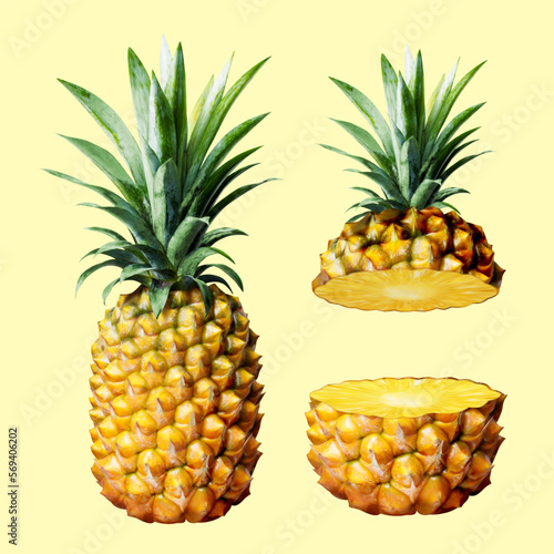 3D realistic pineapple elements