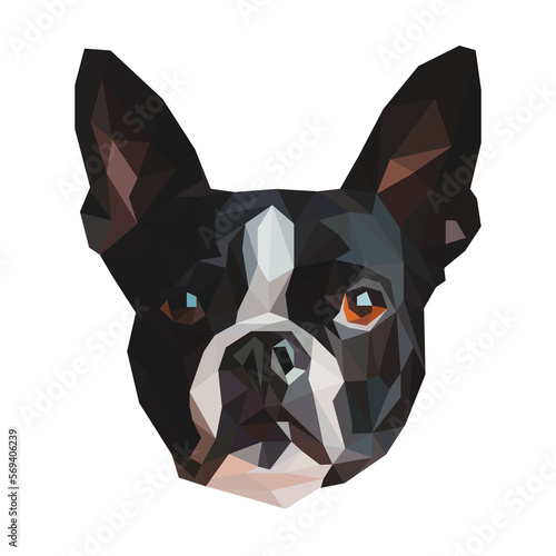 PNG Polygon Dog Boston Terrier Low Poly © Dynamic Duo Designs