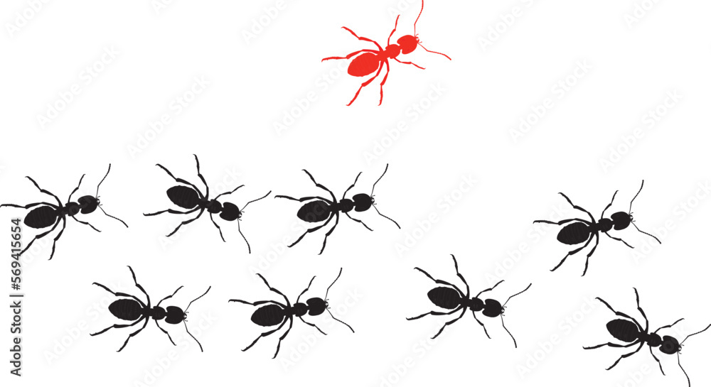 one ant going out of line.Concept of unique,different,individual one ant going out of line.Concept of unique,different,individual