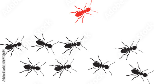 one ant going out of line.Concept of unique,different,individual