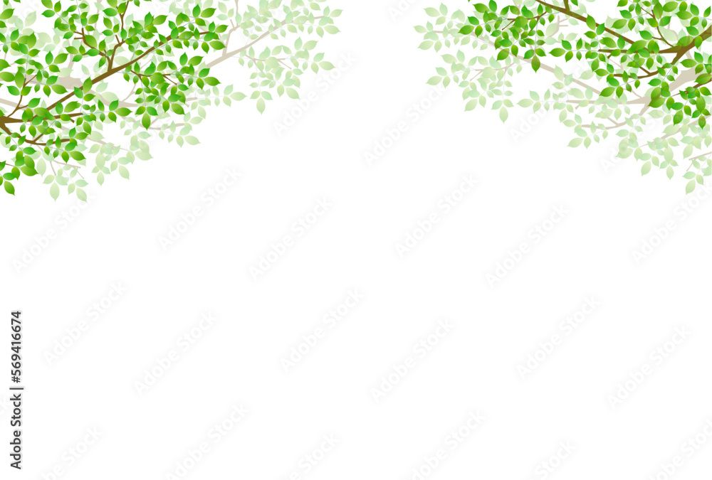 新緑 葉 風景 背景 新緑 葉 風景 背景
