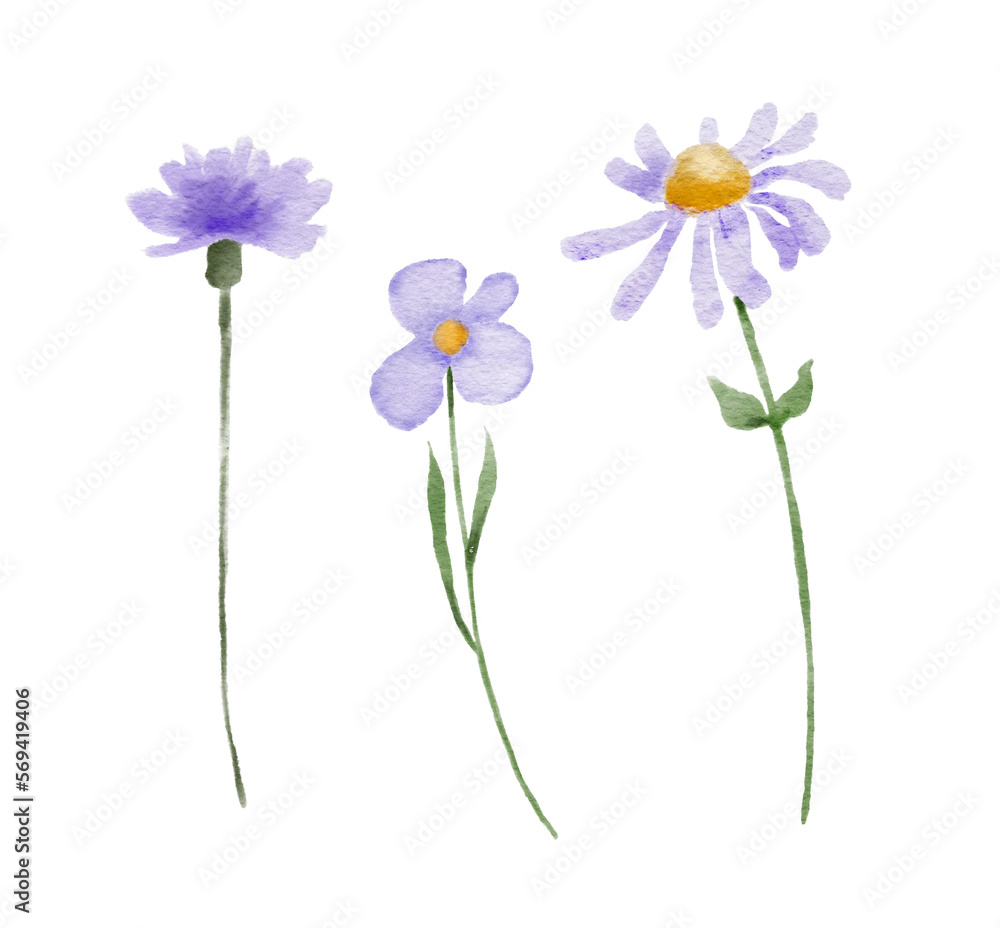 Set of watercolor illustrations of purple flowers, green plants and wildflowers isolated on white background. Hand painted illustration