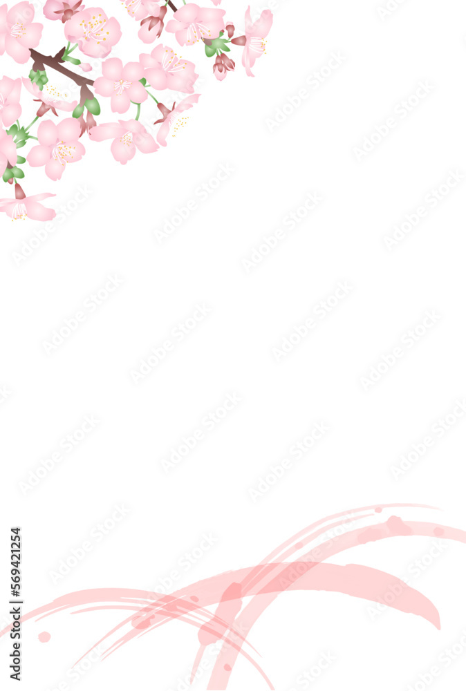 白背景にグラデーションで立体的な桜の花とピンク色の筆のストロークの和風ベクターイラスト　はがきサイズ縦型