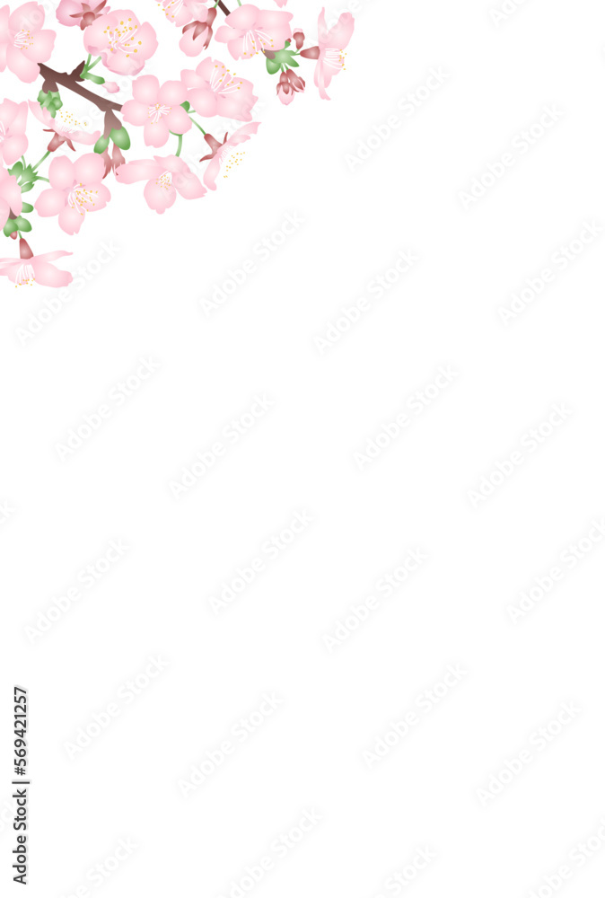 白背景にグラデーションで立体的な桜の花のベクターイラスト　はがきサイズ縦型