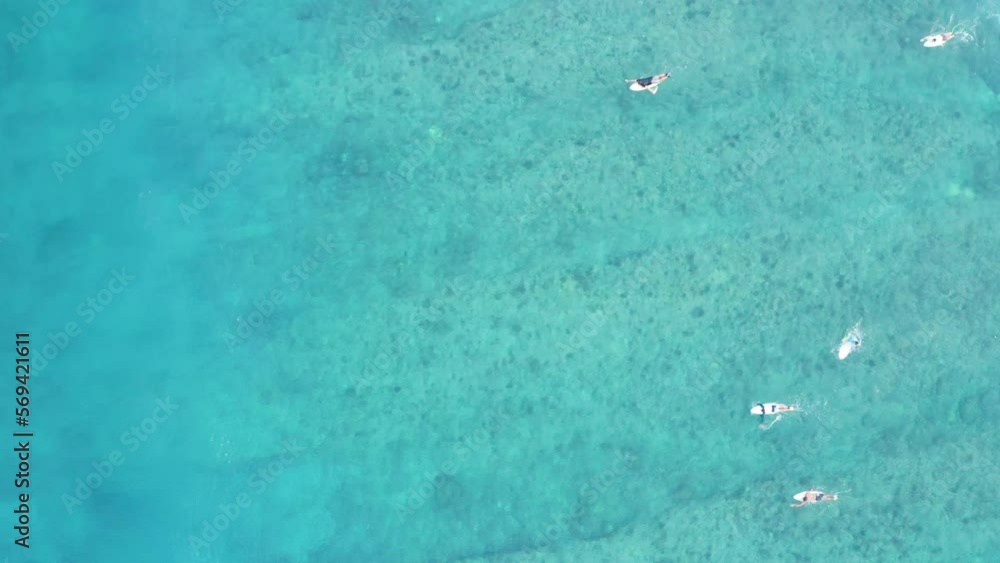 Aerial Top Forward Shot Of People Swimming With Surfboards In Turquoise Sea - Thulusdhoo, Maldives Aerial Top Forward Shot Of People Swimming With Surfboards In Turquoise Sea - Thulusdhoo, Maldives