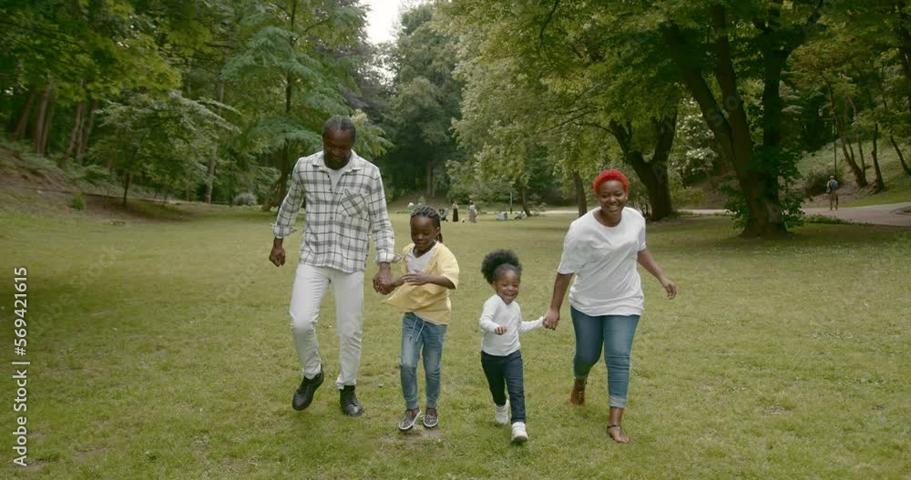 Happy black family walking on the green meadow