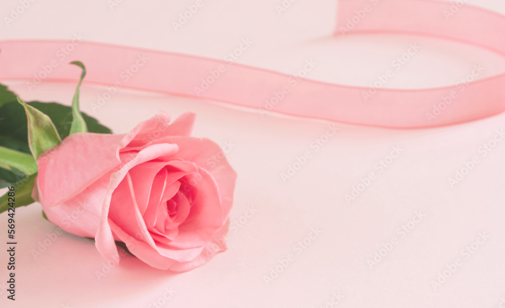 Rose and ribbon background material Events, Celebrations, Mother's Day, Valentine's Day, Weddings, etc. バラとリボンの背景素材。イベント、お祝い、母の日、バレンタインデー、結婚式など