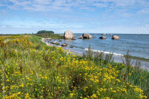 Vana Juri Rocks on the coast of Lahemaa National Park in Estonia photo