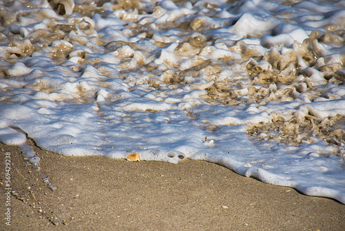 Crashing surf on the beach at Spanish House in Sebastian Inlet state park Florida