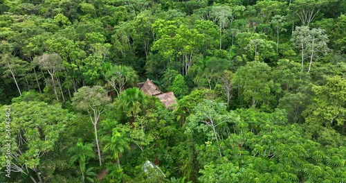 House tropical jungle in amazon, south america. A cabana or hut immerse in wildness nature with plants in relaxing place with trees.Aerial above view drone high resolution 4k photo