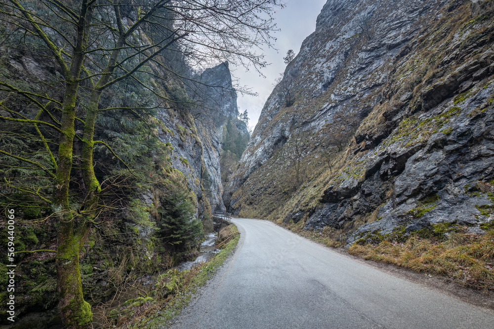 A road leading through a rocky strait. The Maninska Gorge in northwestern Slovakia, Europe.