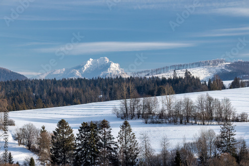 Winter snowy landscape with mountain in background. Northwestern Slovakia, Europe. © Viliam