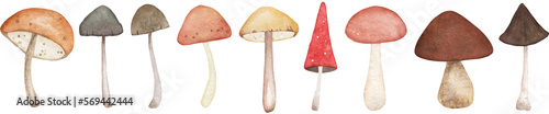 Mushroom hand painted set isolated