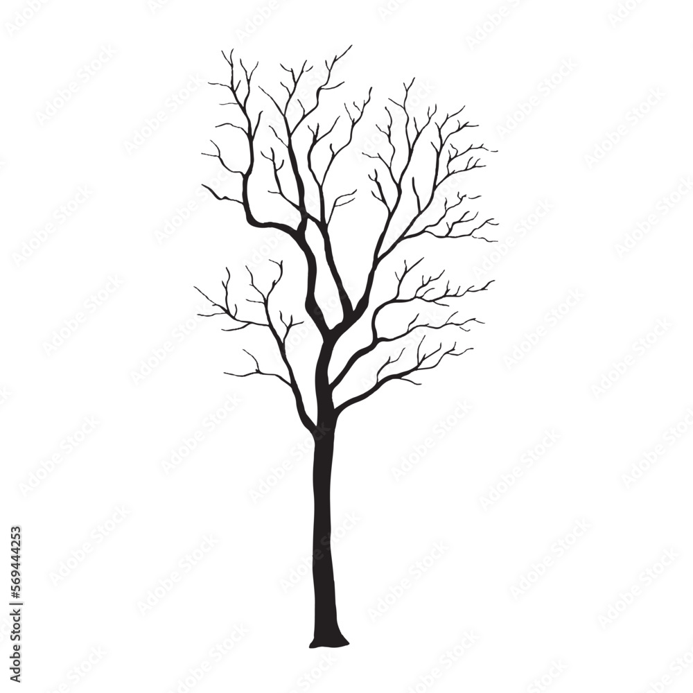 silhouette of a tree isolated. Isolated Dead tree on the white background. Dead tree silhouettes. Vector EPS 10