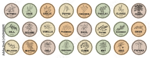 Set of spices food labels with herbs sketches: pepper, basil, paprika, oregano, rosemary, parsley. Packaging and labeling template. Organic, natural flavor kitchen stickers. Vector illustrations