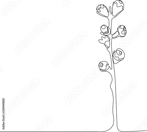 flowers and herbs isolated on white background. Hand drawn sketch flowers and insects. Vector illustration
