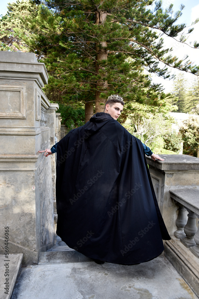 Adult Large Medieval Prince Costume 82 main image 1