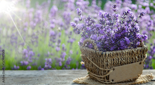 Fresh lavender over wooden Summer background.