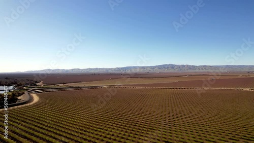 San Joaquin River area with almond trees near modesto california photo