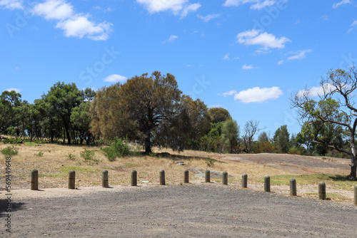 landscape with trees in bushland and car park of you yangs national park