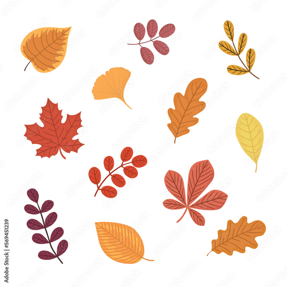 Autumn leaves set. Cartoon flat vector illustration.