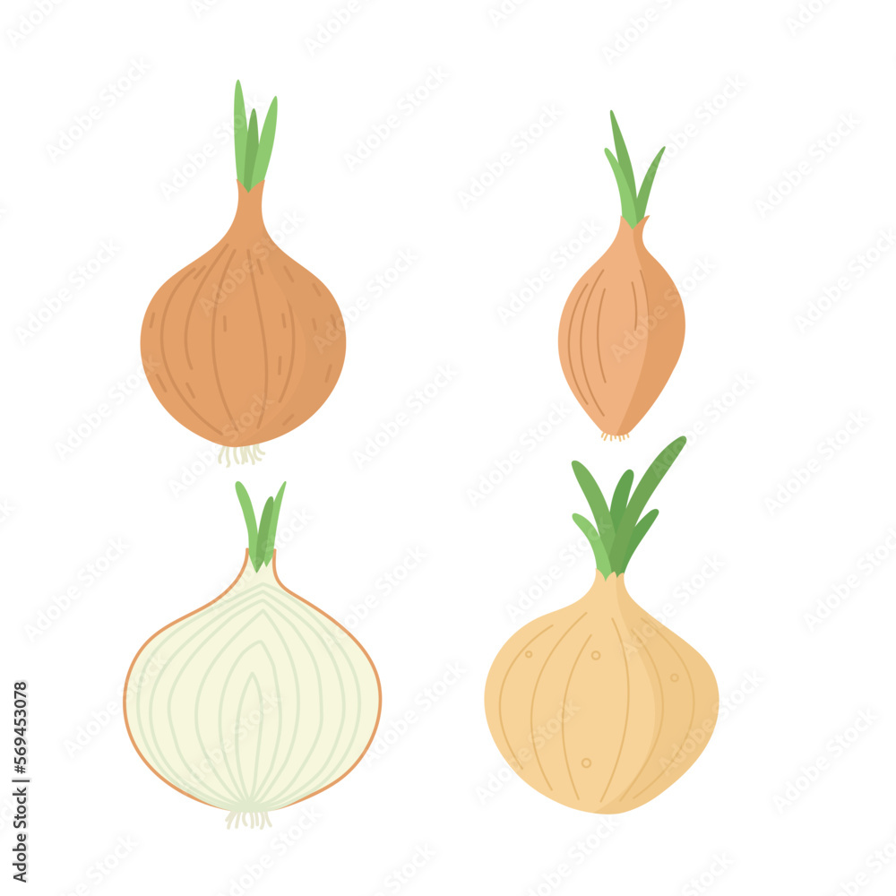 Onion set, whole and half. Cartoon flat vector illustration.