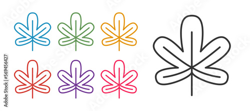 Set line Chestnut leaf icon isolated on white background. Set icons colorful. Vector
