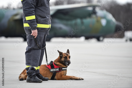 Canvas Print Search and rescue canine team ready for action