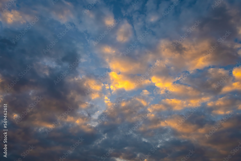 Sky full of cumulus clouds and golden sunlight, nature abstract background. Dark blue sunset sky with golden Cumulus clouds.