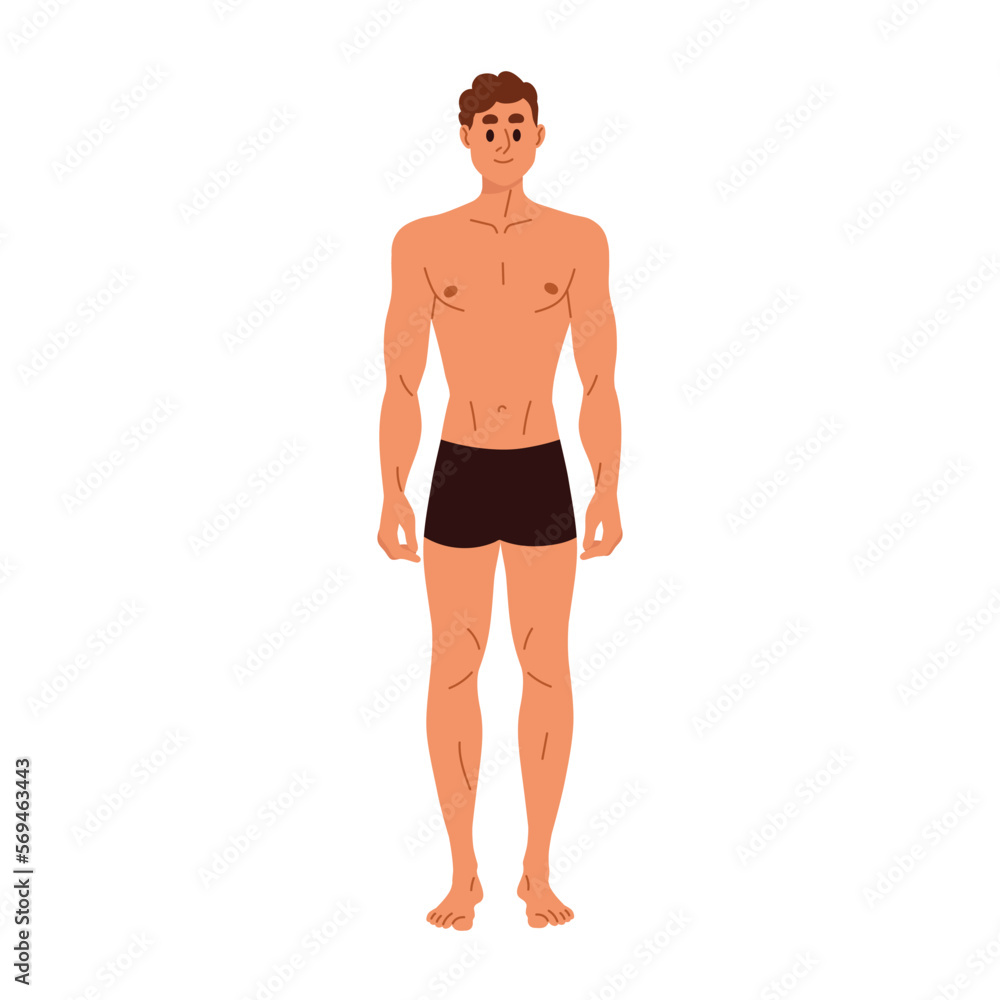 Slim slender man in trunks with nude naked torso. Young male character in underwear with thin healthy sporty body shape, standing portrait. Flat vector illustration isolated on white background