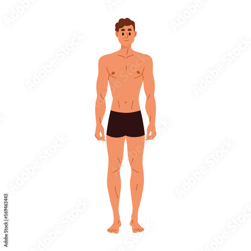 Slim slender man in trunks with nude naked torso. Young male character in underwear with thin healthy sporty body shape, standing portrait. Flat vector illustration isolated on white background
