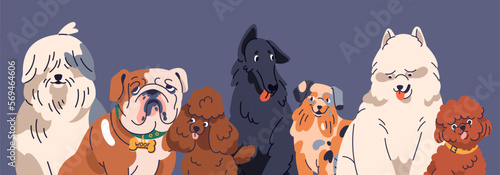 Dogs of different breeds, group portrait. Happy cute doggies, puppies together. Purebred canine animals, English Bulldog, Poodle, Bobtail, Samoyed, diverse pedigrees. Flat vector illustration