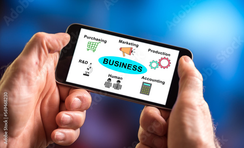 Business structure concept on a smartphone