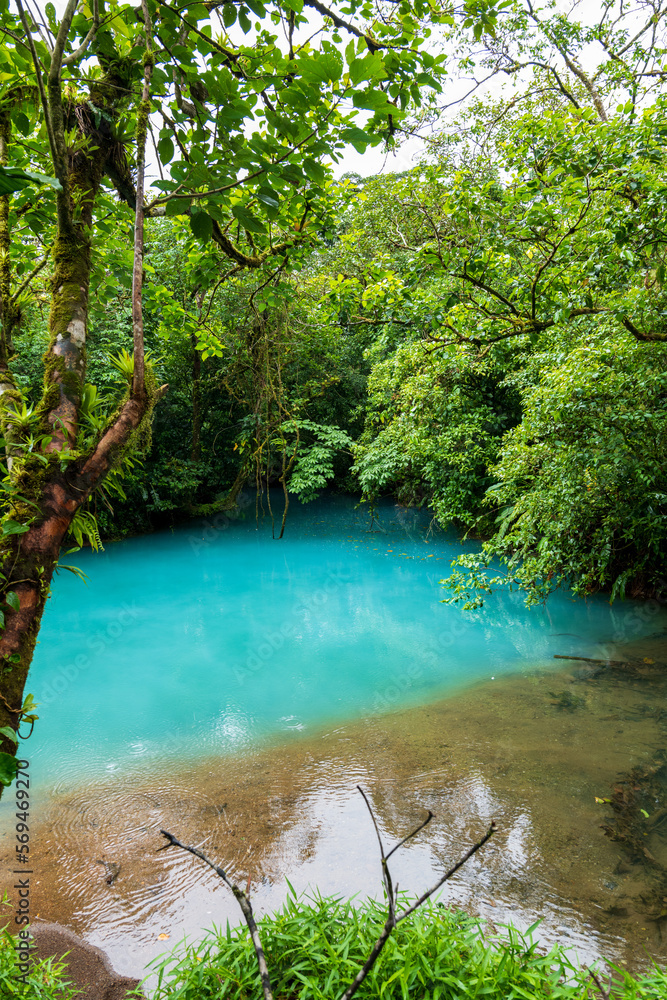 Naklejka premium Rio Celeste, Nationalpark Tenorio