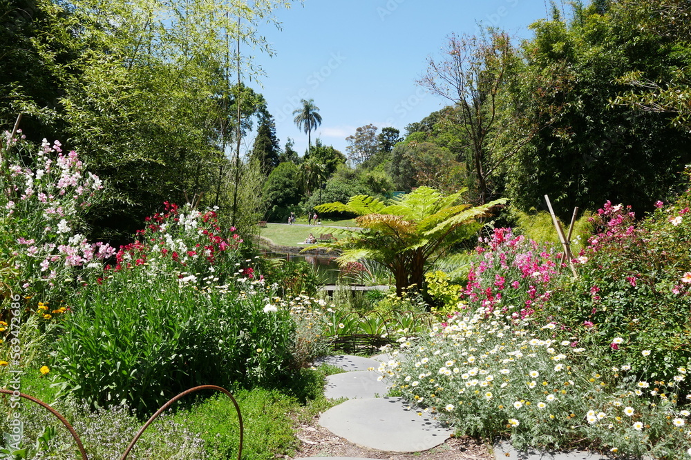 Royal Botanical Gardens in Melbourne - Botanischer Garten