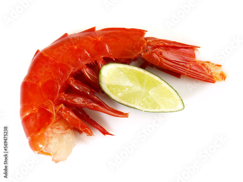 Gamba Carabiniera - Carabinero Shrimp isolated on white Background