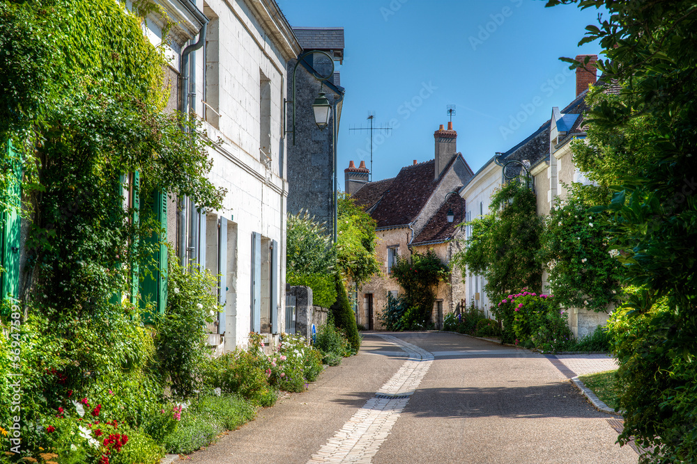 Street in the Beautiful Village of Chedigny in the Loire Valley, France