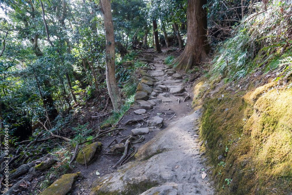 Obraz premium 鋸山日本寺の山道【千五百羅漢道】日本千葉県鋸南町