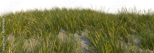 beach grass sand dune foreground hq arch viz cutout full dof