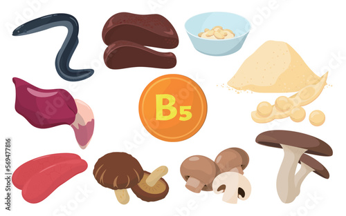Vector illustration of foods containing vitamin B5.