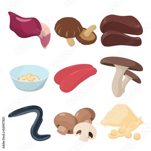 Vector illustration of foods containing vitamin B5.