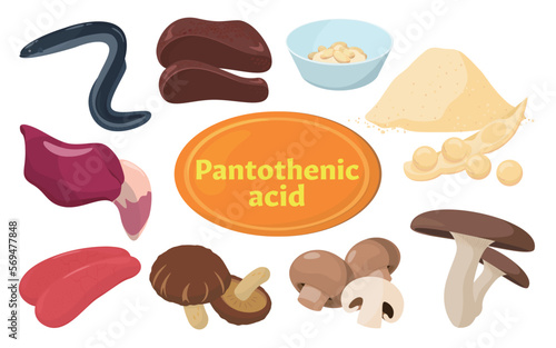 Vector illustration of foods containing Pantothenic acid.