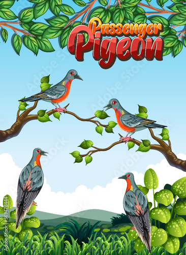 Passenger pigeon extinction bird