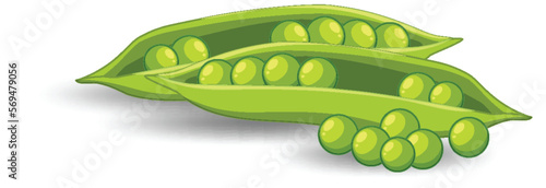 Pod of green peas on white background