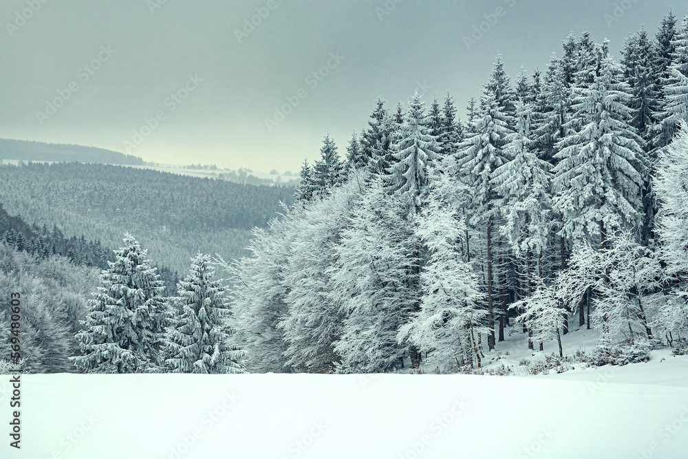 Obraz premium Wintry landscape